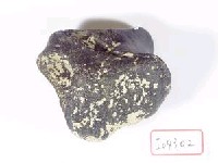 藏品(牛中節骨)的圖片